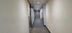Lucky Plaza (D9), Retail #553714631
